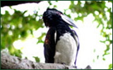 The Duck Inn - affordable B&B and self catering accommodation in Richards Bay