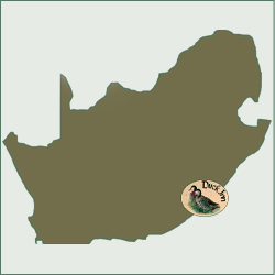 Attractions near to The Duck Inn - affordable B&B and self catering accommodation in Richards Bay