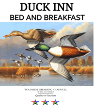 Duck Inn B&B Richards Bay Accommodation